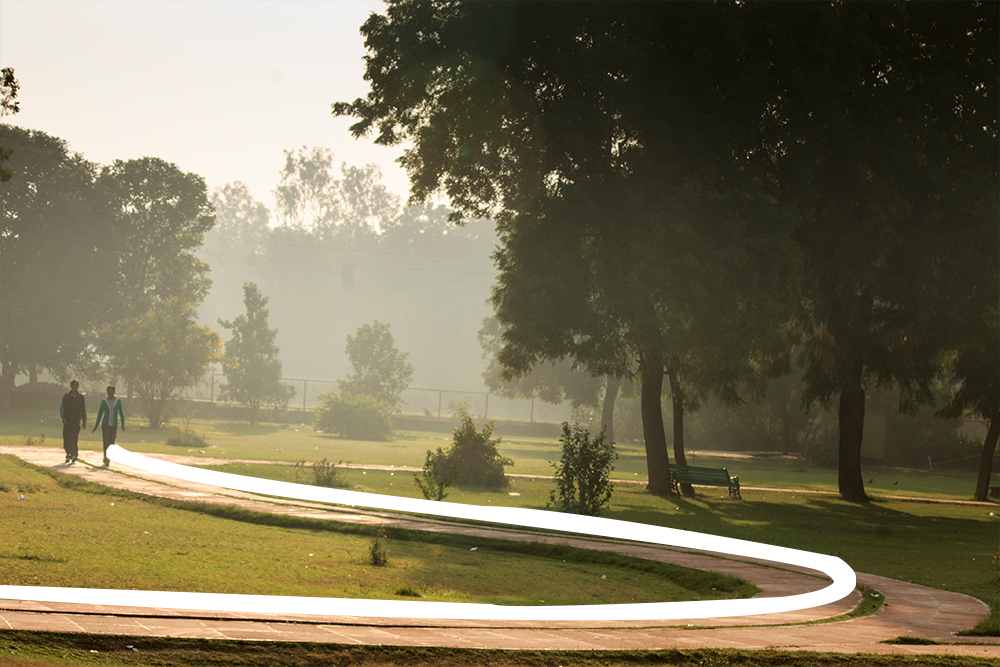 leading-curved-line-abinalex